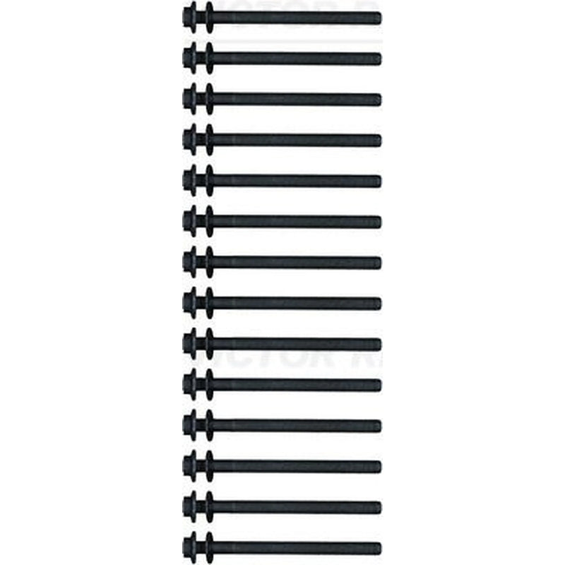 Victor Reinz Cylinder Head Bolt Set M13 14-21242-01