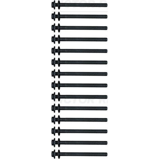 Victor Reinz Cylinder Head Bolt Set M13 14-21242-01