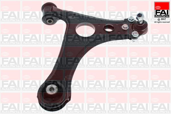 FAI Control/Trailing Arm