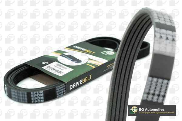 BGA Multi V-Ribbed Drive Belt