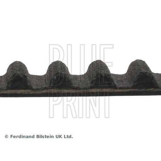 Blue Print Timing Belt Cambelt 151 Teeth ADG07531