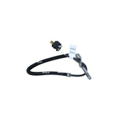 NRF Exhaust Gas Temperature Sensor before soot partic 707258