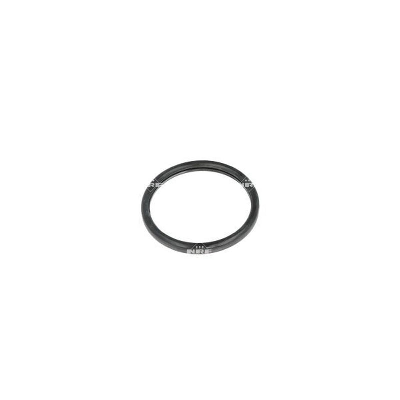 NRF Thermostat,Coolant 725199