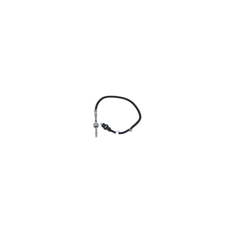 NRF Exhaust Gas Temperature Sensor before soot partic 707164