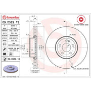 Brembo 2 x Steel Front Brake Disc Hub Brake Discs 09.D529.13