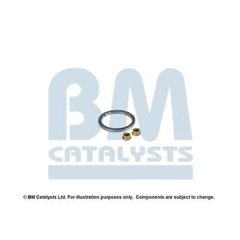 BM Catalysts Fitting Kit FK80253B FK80253B