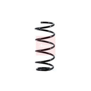 Apec Front Suspension Coil Spring ACS1649