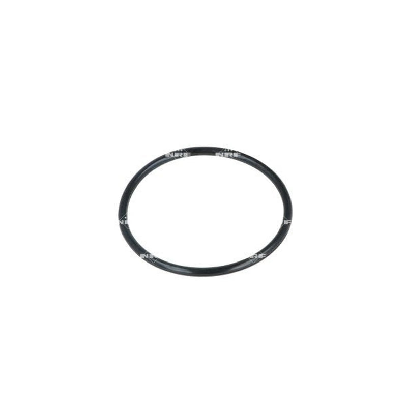 NRF Thermostat,Coolant 725077