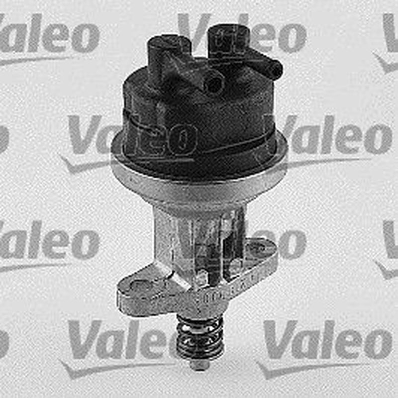 Valeo Fuel Pump Assembly 247064
