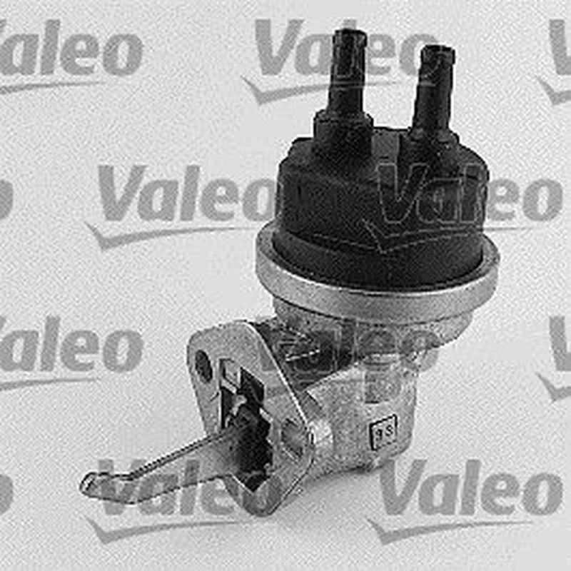 Valeo Fuel Pump Assembly 247147