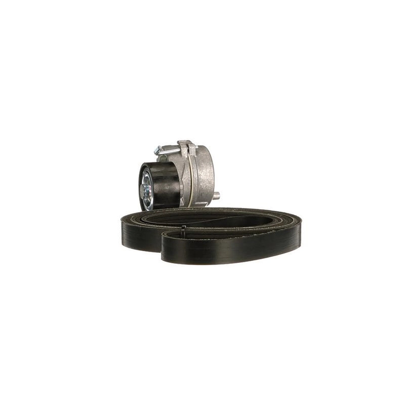 Gates V-Ribbed Belt Set K036PK1750