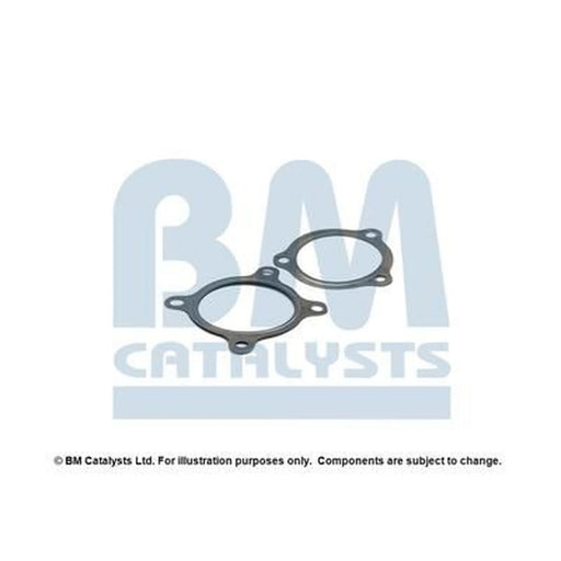 BM Catalysts Fitting Kit FK92401A FK92401A