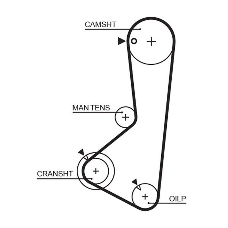 Gates Timing Belt Cambelt 122 Teeth 1256RM