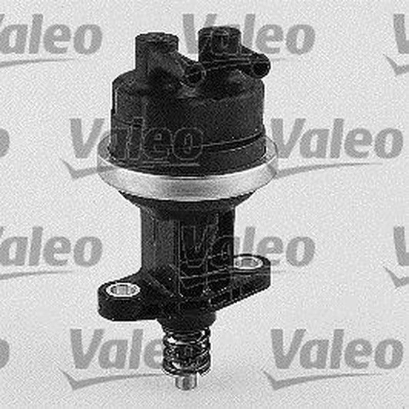 Valeo Fuel Pump Assembly 247114