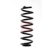 Apec Rear Suspension Coil Spring ACS2248