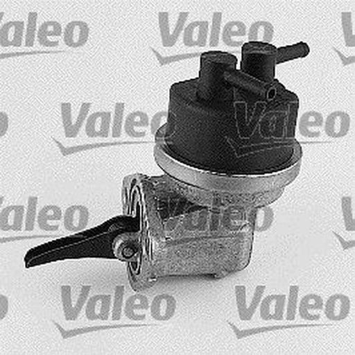 Valeo Fuel Pump Assembly 247065