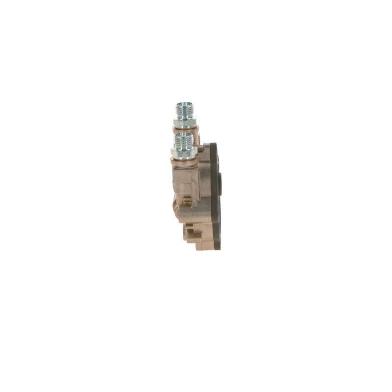 Bosch Fuel Pump Assembly 0 440 020 117