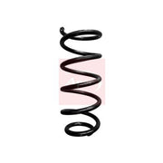 Apec Rear Suspension Coil Spring ACS1875