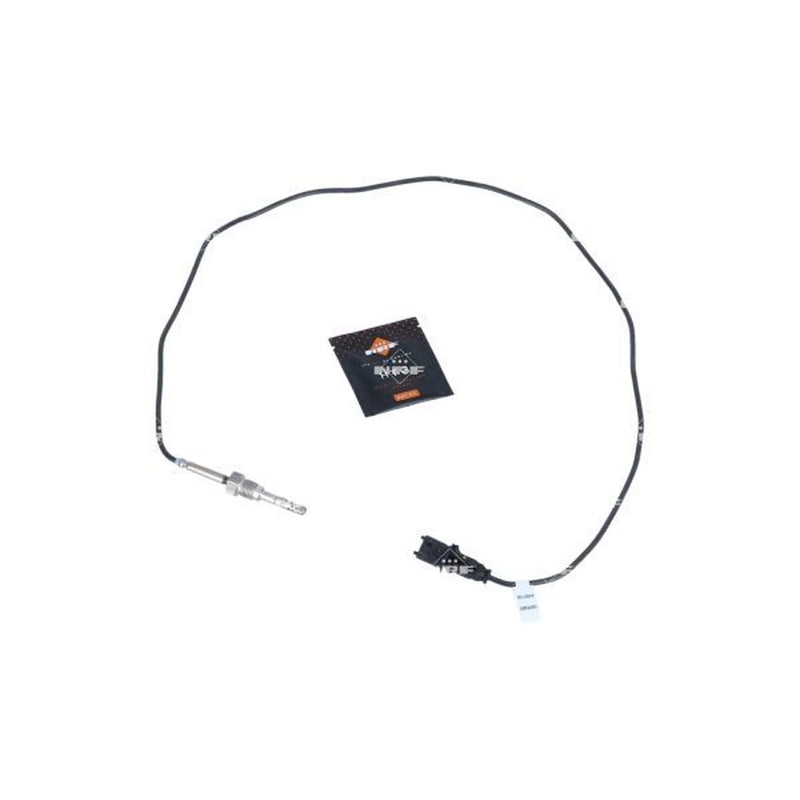 NRF Exhaust Gas Temperature Sensor before soot particulate f 707163