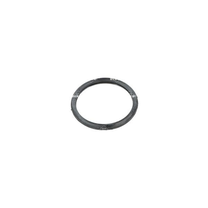 NRF Thermostat,Coolant 725268