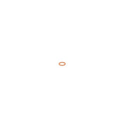 Bosch Sealing Ring Gasket 2 916 710 603