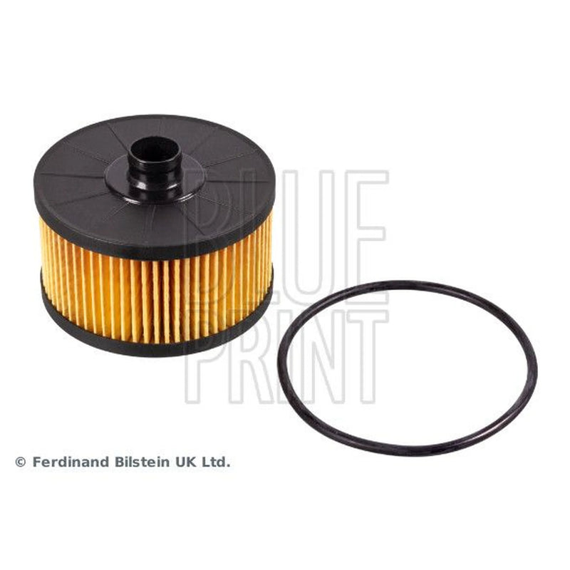 Blue Print Engine Oil Filter ADN12134