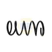 NAPA Rear Suspension Coil Spring NCS1893