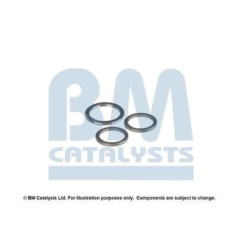 BM Catalysts Fitting Kit FK91181A FK91181A