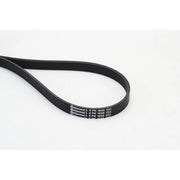 Continental CTAM Multi V-Ribbed Drive Belt 6PK1698