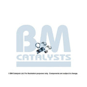 BM Catalysts Fitting Kit FK11375C FK11375C