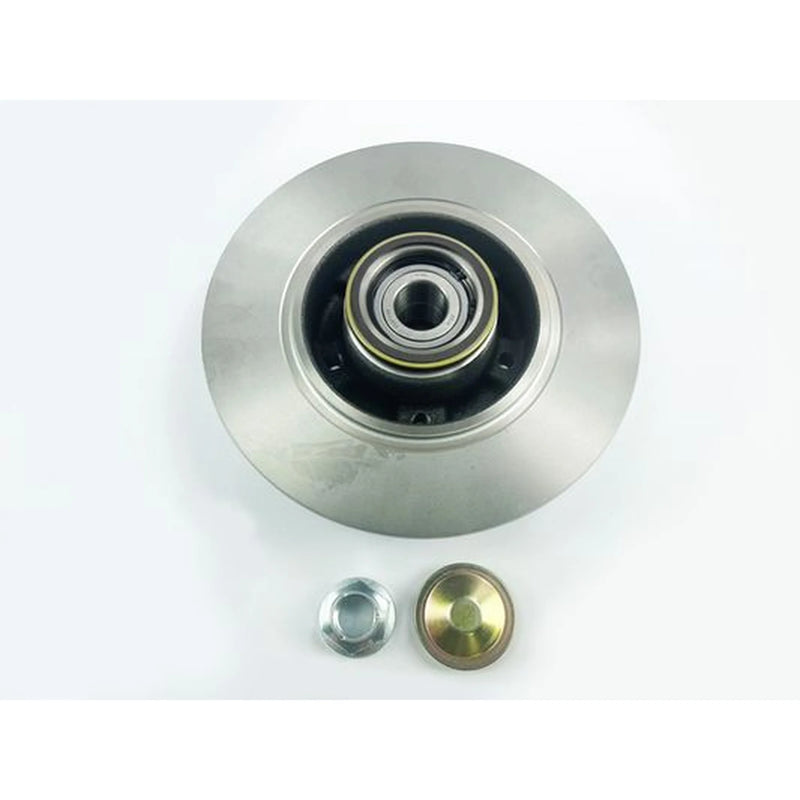Juratek 2 x Solid Rear Brake Discs REN199C