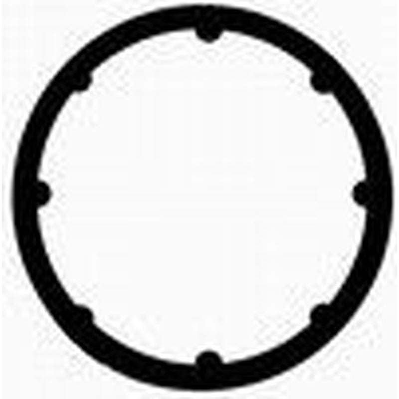 BGA Intake Manifold Gasket Thick MG8570