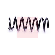 Apec Rear Suspension Coil Spring ACS2290