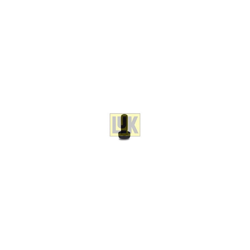 LuK Dmf Bolt Fitting Kit 411014510 N90 725 501 411014510