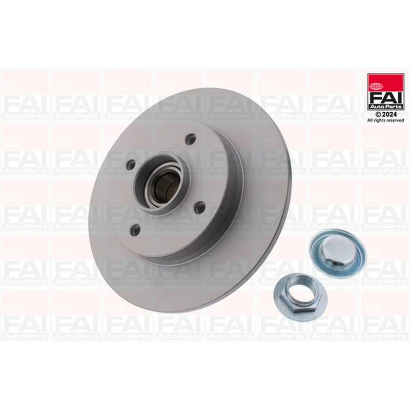 FAI 2 x Solid Rear Brake Discs BD102