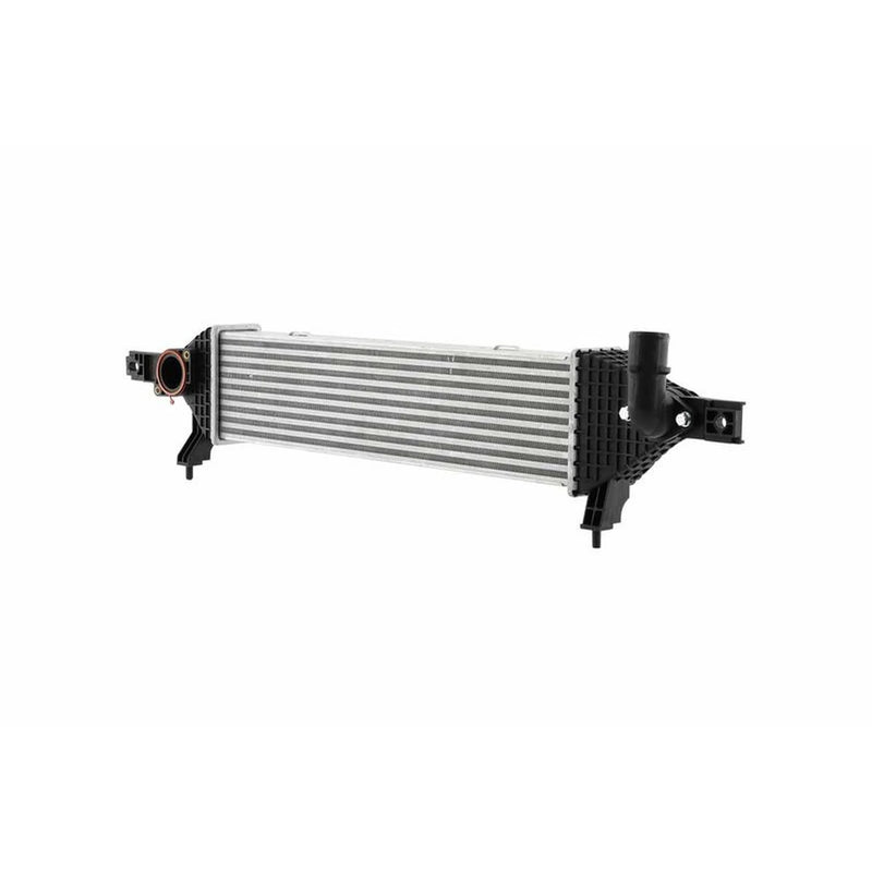 Hella Intercooler (Charge Air Cooler) 8ML 366 470-901