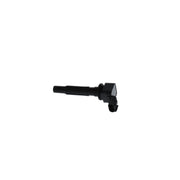 Bosch Ignition Coil Pack F 01R 00A 081