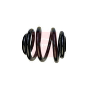 Apec Rear Suspension Coil Spring ACS1980