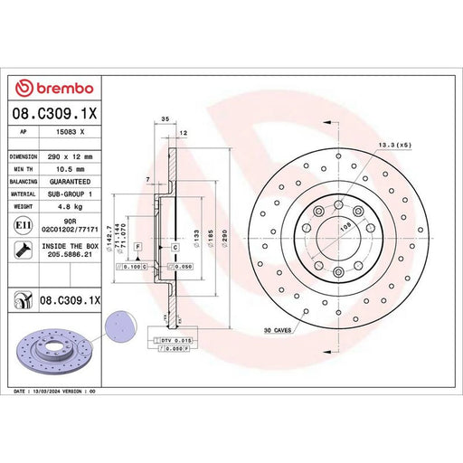 Brembo Xtra Rear Brake Discs 08.C309.1X