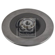 Febi 2 x Solid Rear Brake Discs 44018