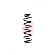 Apec Rear Suspension Coil Spring ACS1380