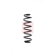 Apec Rear Suspension Coil Spring ACS1380