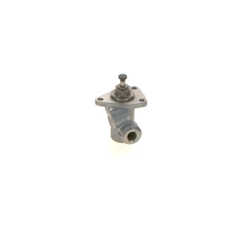 Bosch Fuel Pump Assembly 0 440 008 171