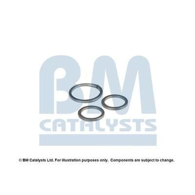 BM Catalysts Fitting Kit FK91436A FK91436A