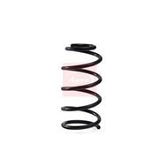 Apec 2 x Suspension Springs ACS2063