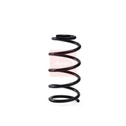 Apec Rear Suspension Coil Spring ACS2063