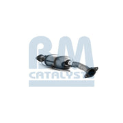 BM Catalysts Dpf BM11111