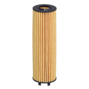 Hengst Engine Oil Filter E342H D494