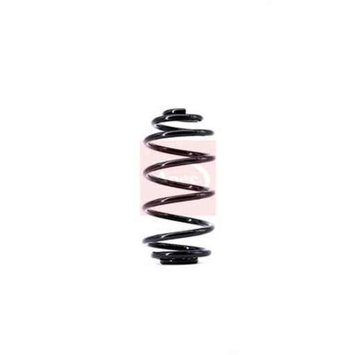 Apec Rear Suspension Coil Spring ACS1371