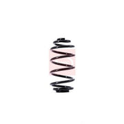 Apec 2 x Suspension Springs ACS1371